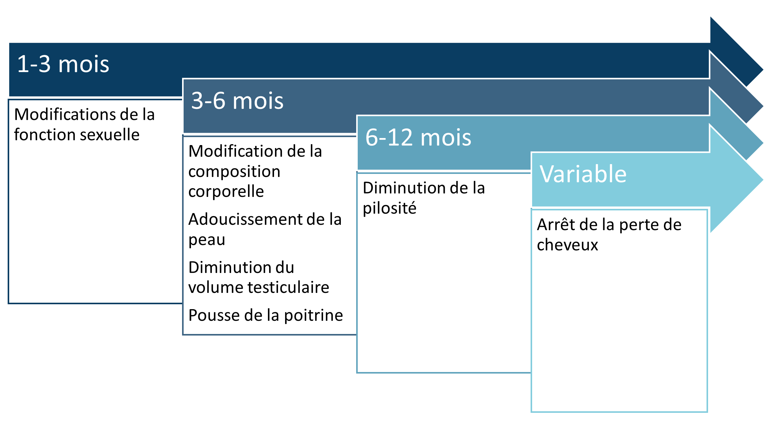 Effets principaux du THAG féminisant